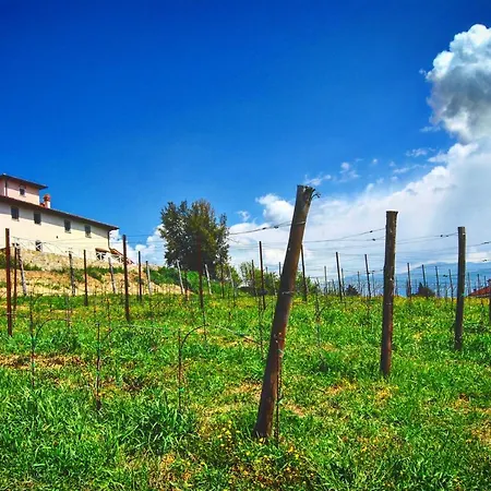 Bed and Breakfast La Valle Cavriglia