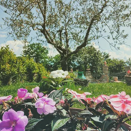 B&B La Valle 가브리클리아